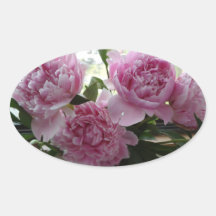 Rosa Pion Klistermärken