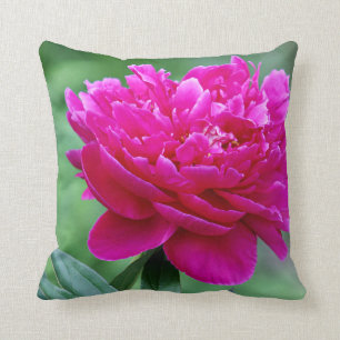 Rosa pion kudde