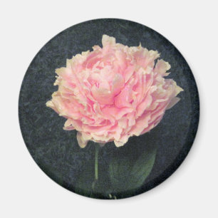 Rosa pion magnet
