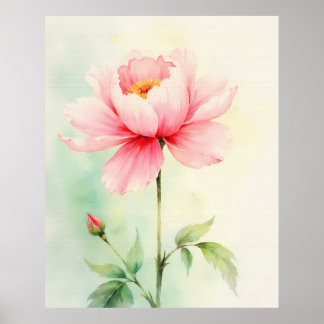 Rosa Pion Poster