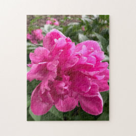 Rosa Pion Pussel