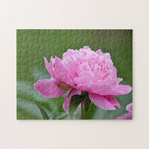 Rosa pion pussel