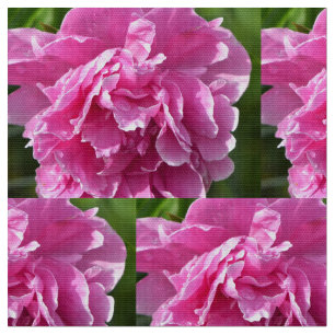 Rosa pion tyg