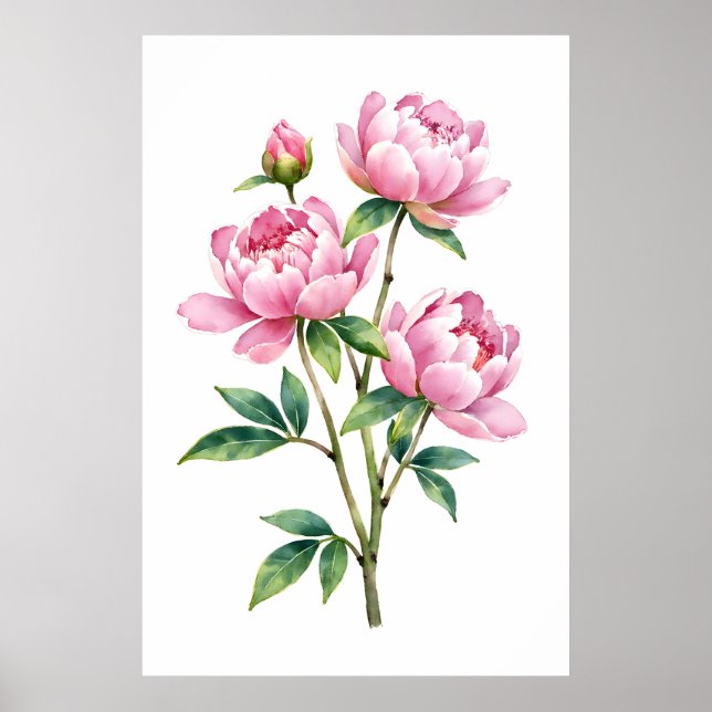 Rosa Pion Vattenfärgstryck Botanisk Poster (Framsidan)