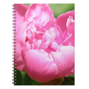 Rosa pionanteckningsbok anteckningsbok