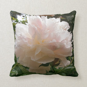 Rosa pionBlossom. Kudde