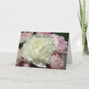 Rosa pioner för grattis på födelsedagenvit/rosa kort