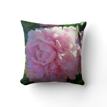 Rosa pioner i min trädgård - blommanatur