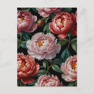 Rosa pioner vykort