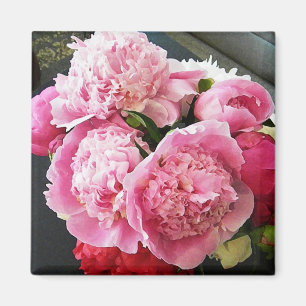 Rosa pionmagnet för CF Magnet