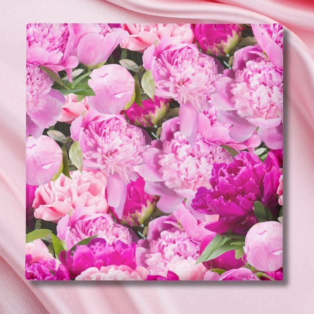 Rosa Pionmönster Magnet (Skapare uppladdad)