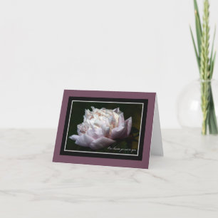 Rosa pionsympati noterar kortet kort