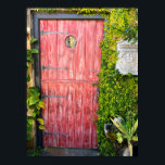 Rosa Plants Wood Door St Augustine Florida Photo Poster<br><div class="desc">Hej! Hoppas du gillar fotot jag tog på mig mina resor! Du kan gärna lägga till din egen text och kolla mina butiker för mer!</div>