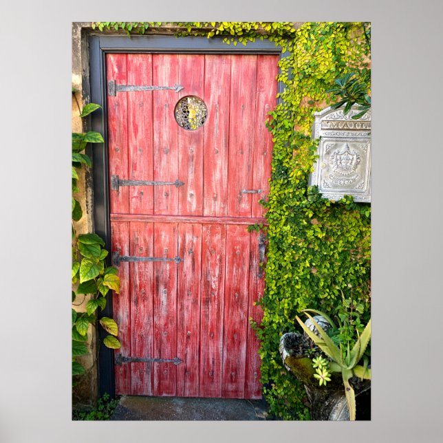 Rosa Plants Wood Door St Augustine Florida Photo Poster (Framsidan)