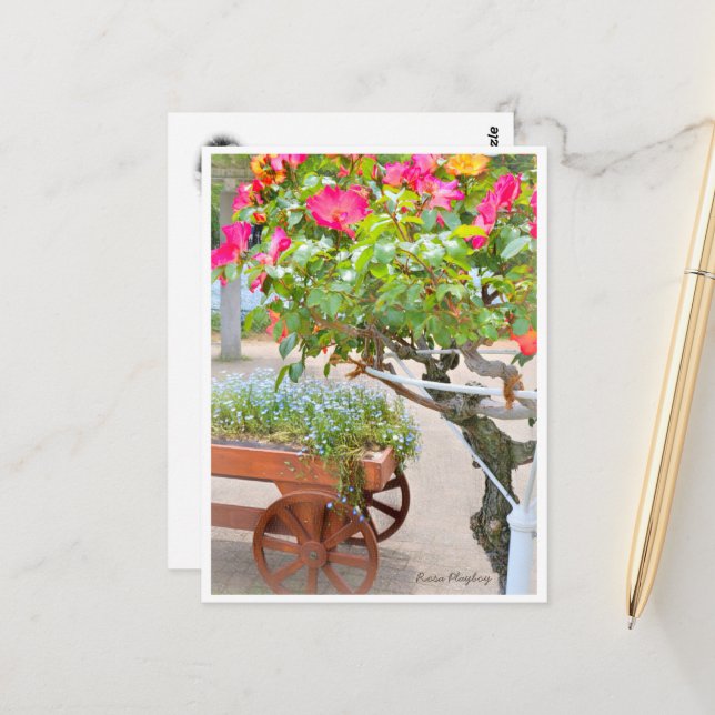 Rosa Playboy Vykort (Fram/Back In Situ)