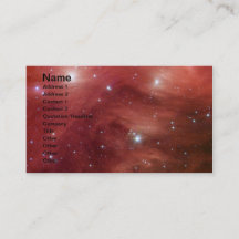 Rosa Pleiades InfrRED SSC2007 07b