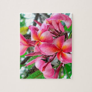 Rosa plumeria- eller Frangipaniblomma Pussel