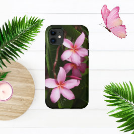 Rosa Plumeria Flowers