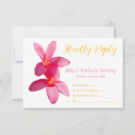 Rosa Plumeria Flowers, Tropical, Blommigt, OSA Tack Kort