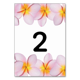 Rosa Plumeria Frangipani Bröllop Bordsnummer