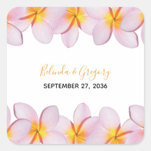 Rosa Plumeria Frangipani Bröllop Fyrkantigt Klistermärke