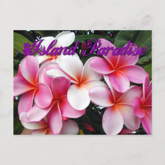 Rosa Plumeria Hawaiian Postcard Vykort