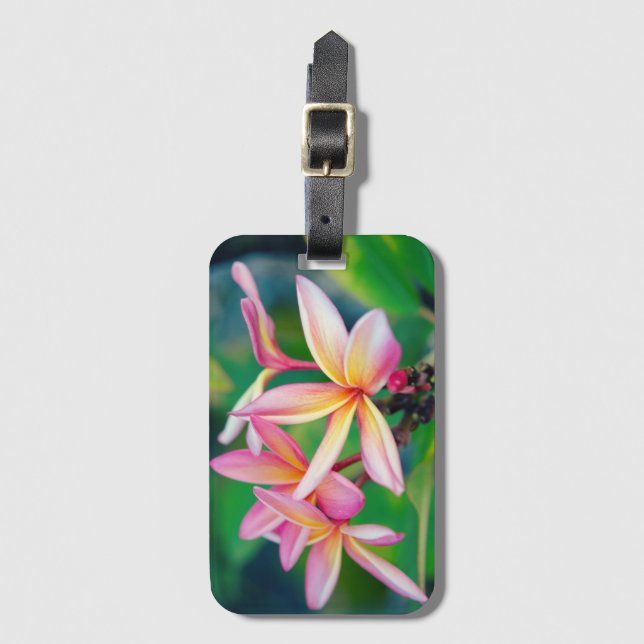 Rosa Plumeria Luggage Tag Bagagebricka (Framsida vertikal)