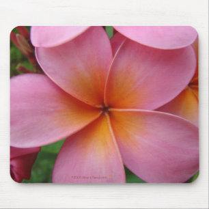Rosa Plumeria Mousepad Musmatta
