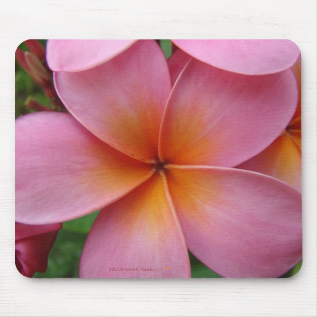Rosa Plumeria Mousepad Musmatta (Framsidan)
