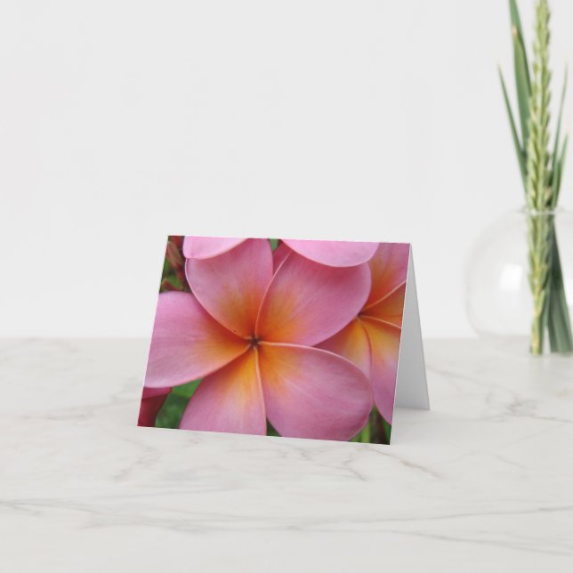 Rosa Plumeria Notecard Kort (Framsida)