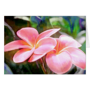 Rosa Plumeria OBS Kort