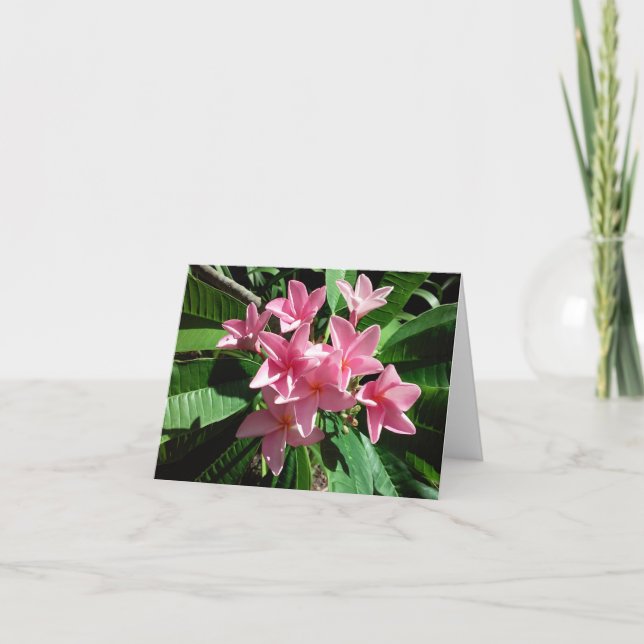 Rosa Plumeria Photo Folant Note Card Anteckningskort (Framsida)