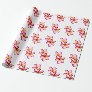 Rosa Plumeria Presentpapper