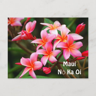 Rosa Plumeriablommor, Maui Nō Ka Oi Vykort