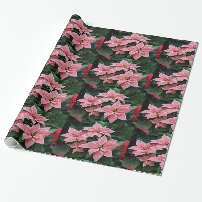 Rosa Poinsettia Helgdag Wrapping Papper Presentpapper (Utrullad)