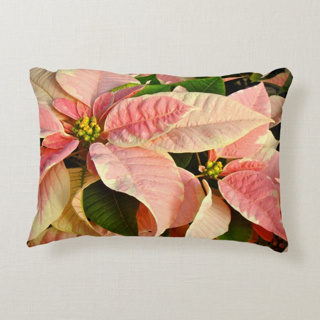 Rosa Poinsettia Prydnadskudde (Baksidan)