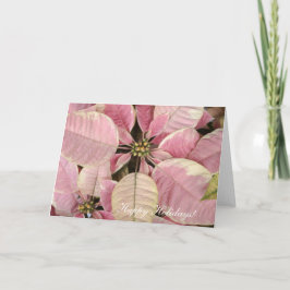 Rosa Poinsettias Helgdag Card Helgkort