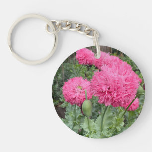 Rosa Pom Pom Poppies