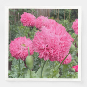 Rosa Pom Pom Poppies Pappersservett