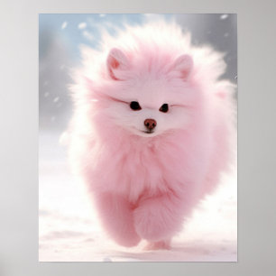 Rosa Pommern i Snö Poster