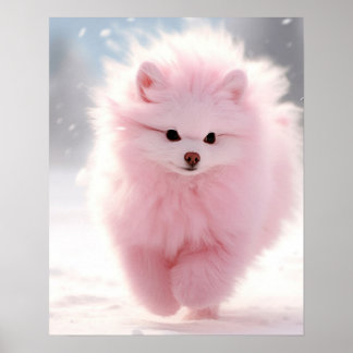 Rosa Pommern i Snö Poster