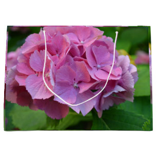 Rosa Pompom Hydrangea Hortensia Flower