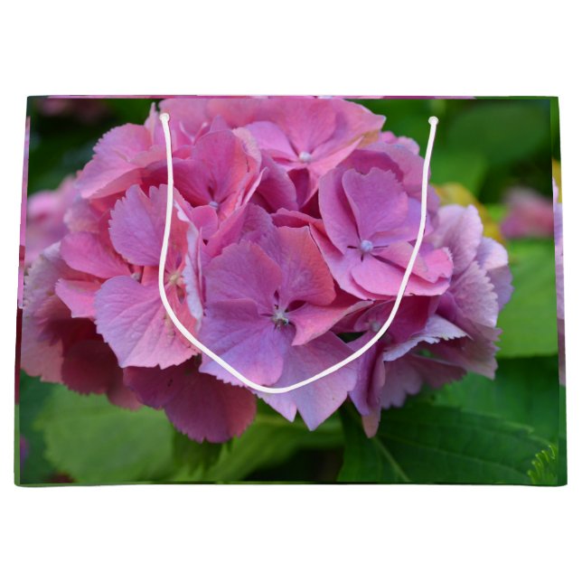 Rosa Pompom Hydrangea Hortensia Flower (Framsidan)