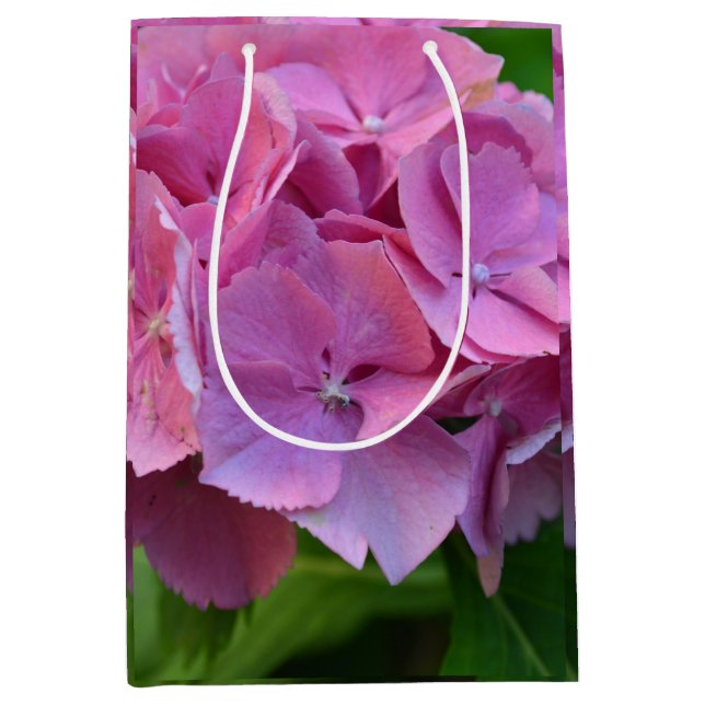 Rosa Pompom Hydrangea Hortensia Flower (Framsidan)
