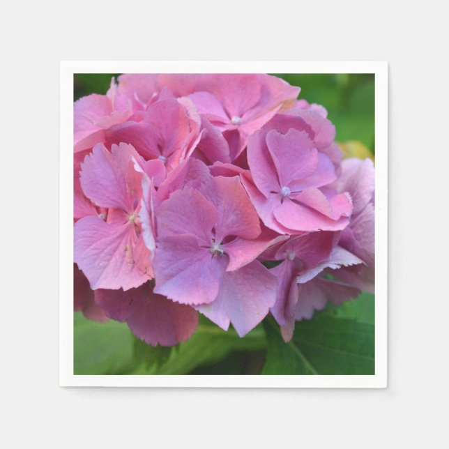 Rosa Pompom Hydrangea Hortensia Flower Pappersservett (Framsidan)