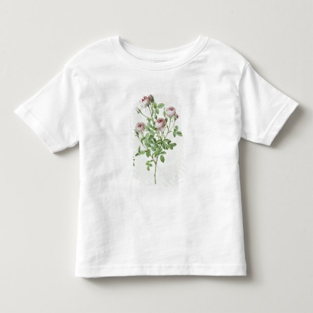 Rosa Pomponia, från 'Les ro T-shirt (Framsida)