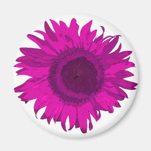 Rosa Pop Art Solros Magnet
