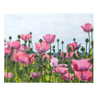 Rosa Poppies Anteckningsblock