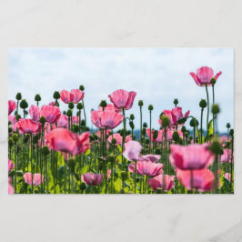 Rosa Poppies Brevpapper