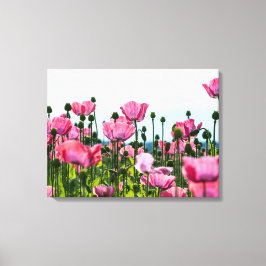 Rosa Poppies Canvastryck